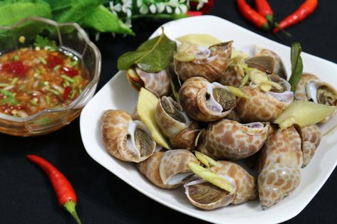 Ốc hương – một loại hải sản được yêu thích bởi vị ngọt tự nhiên, thịt giòn dai và mùi thơm đặc trưng. Với nhiều cách chế biến đa dạng, ốc hương không chỉ là món ăn vặt hấp dẫn mà còn là lựa chọn lý tưởng cho những bữa tiệc gia đình. Yêu bếp núc sẽ hướng dẫn chi tiết về các cách làm ốc hương ngon, đơn giản và chuẩn vị.