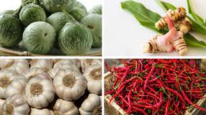Nguyên liệu làm cà bát muối xổi
1kg cà bát (chọn quả bánh tẻ)
2 củ tỏi
1/2 củ riềng
10 quả ớt (gia giảm theo khẩu vị)
1/2 bát ăn cơm đường trắng
1 bát ăn cơm tương ớt
3–4 muỗng canh giấm trắng
1 muỗng canh muối ăn
3 muỗng canh nước lọc