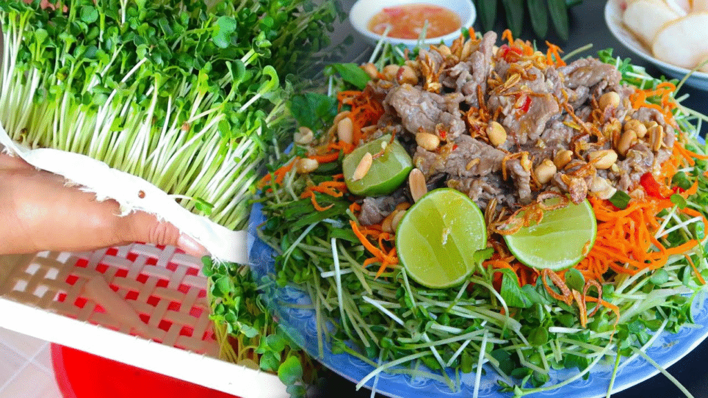 Trộn gỏi & trình bày món gỏi bò trộn rau mầm

Khi tất cả nguyên liệu đã được sơ chế và thịt bò đã chín, bạn tiến hành trộn gỏi theo các bước sau:

Cho phần thịt bò đã chín vào tô lớn, rưới khoảng ½ phần nước trộn gỏi vào, trộn nhẹ để thịt ngấm đều.

Tiếp theo cho rau mầm, cà rốt, hành tây, rau thơm vào tô (nên cho rau vào sau để tránh rau bị nát).

Rưới phần nước trộn gỏi còn lại lên, trộn nhẹ nhàng nhưng đều — từ dưới lên để rau không bị dập.

Nếm thử, nếu thấy cần điều chỉnh thì thêm chút chanh, đường hay nước mắm.

Cho gỏi ra đĩa, rắc đậu phộng rang giã nhỏ lên trên, nếu có thể thêm hành phi để tăng mùi thơm và độ hấp dẫn.

Trang trí thêm vài lá rau thơm hoặc ớt thái chỉ cho đẹp mắt.

Khi thưởng thức, bạ