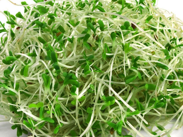 3.1 Rau mầm

Nhặt các lá già, úa hoặc dập nát, chỉ giữ phần non, xanh tươi.

Rửa nhẹ nhàng dưới vòi nước lạnh vài lần, tránh bóp quá mạnh để không làm rau bị mềm.

Ngâm rau mầm trong bát nước muối pha loãng (~ 5 – 10 g muối/1 lít nước) khoảng 5–10 phút để loại bỏ bụi bẩn, hoá chất dư.

Vớt ra, rửa lại với nước sạch, để ráo. Có thể dùng rổ quay hoặc khăn sạch thấm nhẹ.

Khi trộn gỏi, đảm bảo rau mầm khô để không làm loãng nước trộn.
